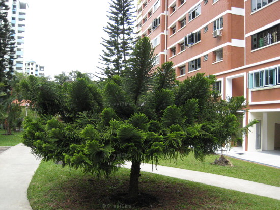 Blk 146 Mei Ling Street (Queenstown), HDB 5 Rooms #370482